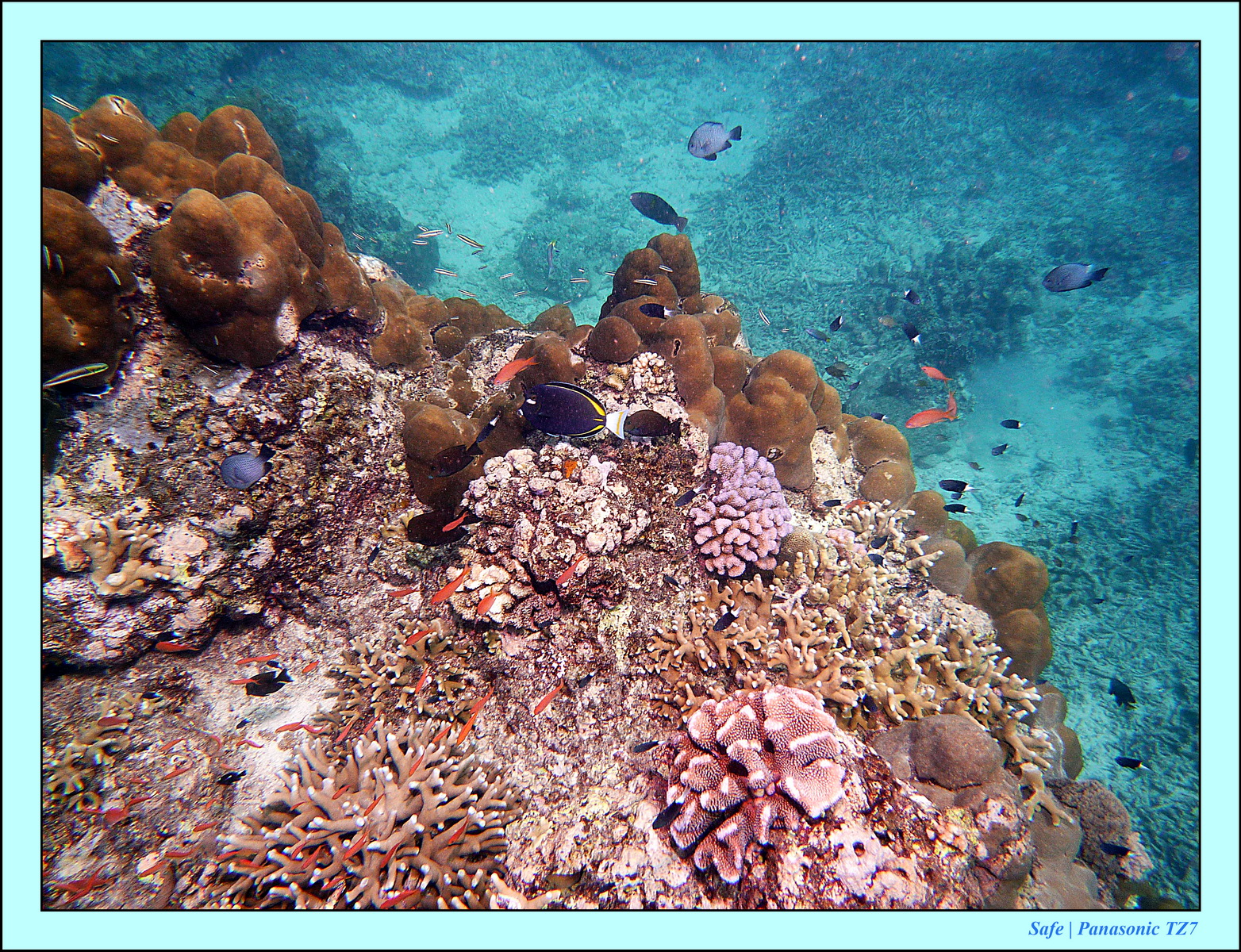 2012 - 07 - Gili - 51